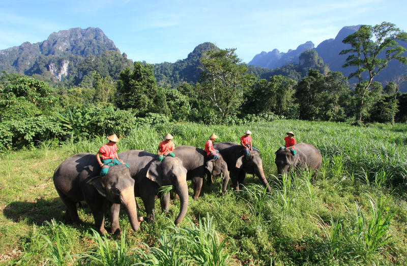 Wildnis Thailand: Rundreise durch den Süden