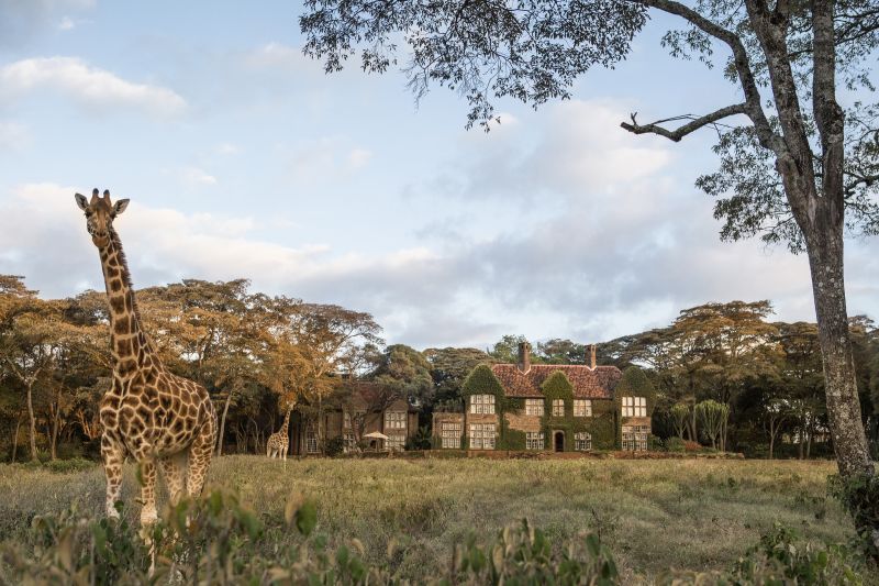Kenia und Tansania: Safaris, Serengeti & Sansibar