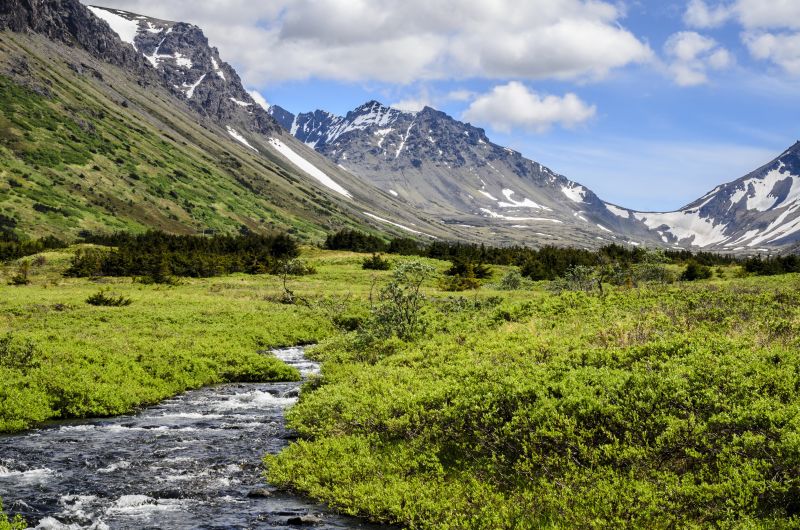 Alaska Roadtrip: Die letzte Grenze