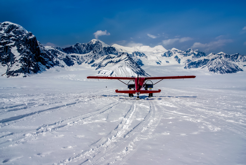 Alaska’s Scenic Highlights: From Denali to the Kenai Fjords