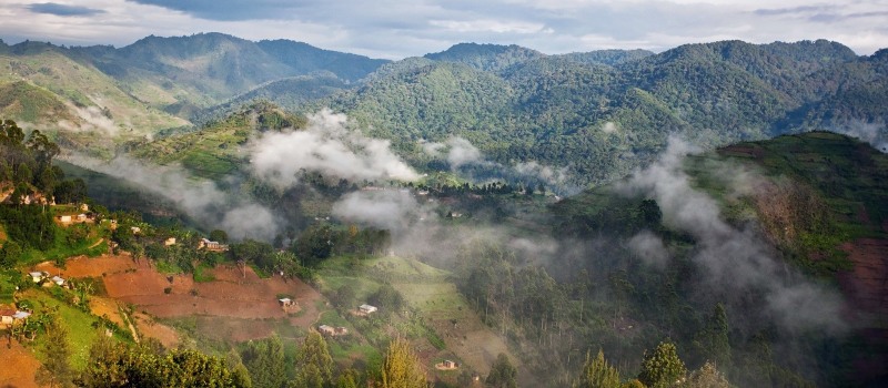 Uganda Safarireise: Primaten und wilde Landschaften
