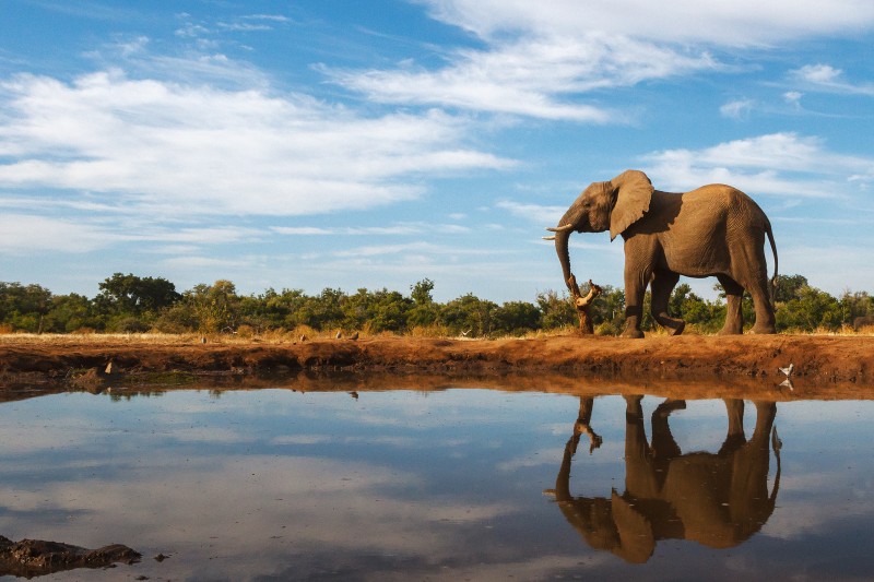 South Africa, Victoria Falls and Okavango Delta