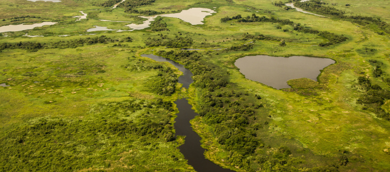 Aerial view of Pantanal wetlands, Pantanal, Brazil South America Enchanting Travels