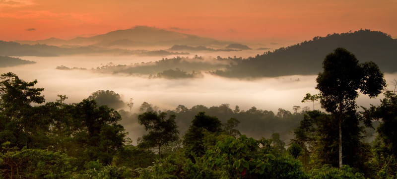 Asia Danum Valley, Sabah, Borneo, Malaysia Enchanting Travels