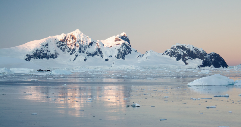 Sunrise over antarctic peninsula - Things to do in Antarctica