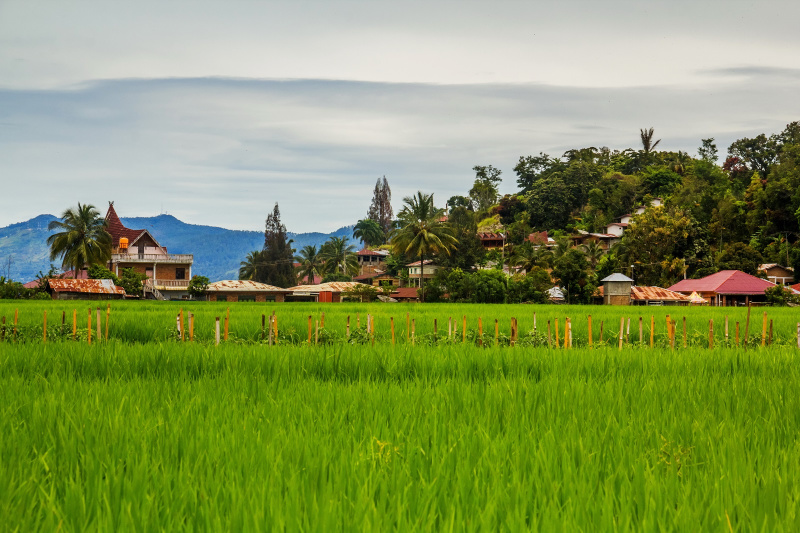 Rural scene of Samosir Island Indonesia, Asia Tours