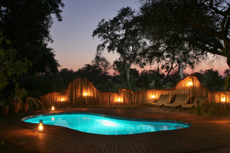 Botswana Safari: Im Paradies der wilden Tiere