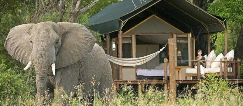 Enchanting Travels-Botswana Tours-Okavango Delta-Sanctuary Stanley's Camp-Exterior of the room