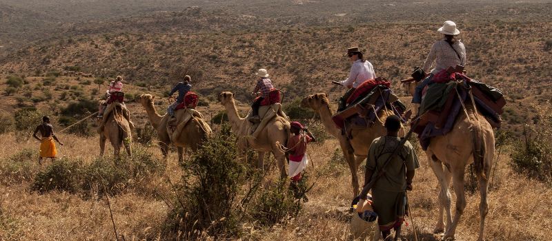 Enchanting Travels Kenya Tours Laikipia Camel Safari