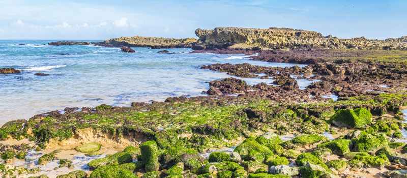Enchanting Travels Morocco Tours Beach in Oualidia, Atlantic coast of Morocco