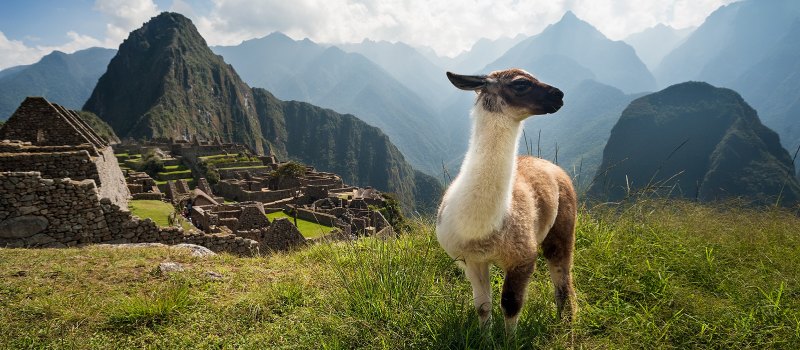 Machu Picchu trip