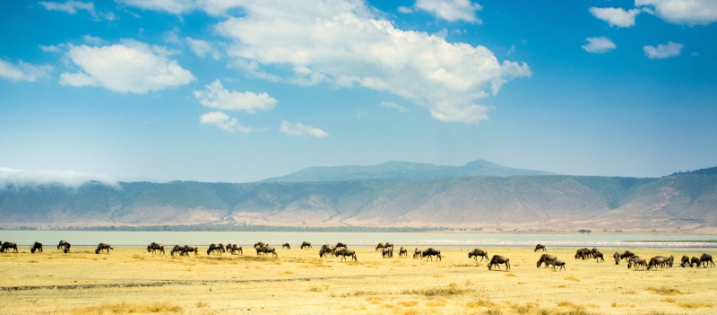 Ngorongoro Crater