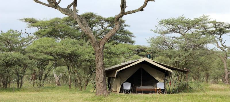 Exterior view of guest tent at Serengeti North Wilderness Camp in Northern Serengeti, Tanzania