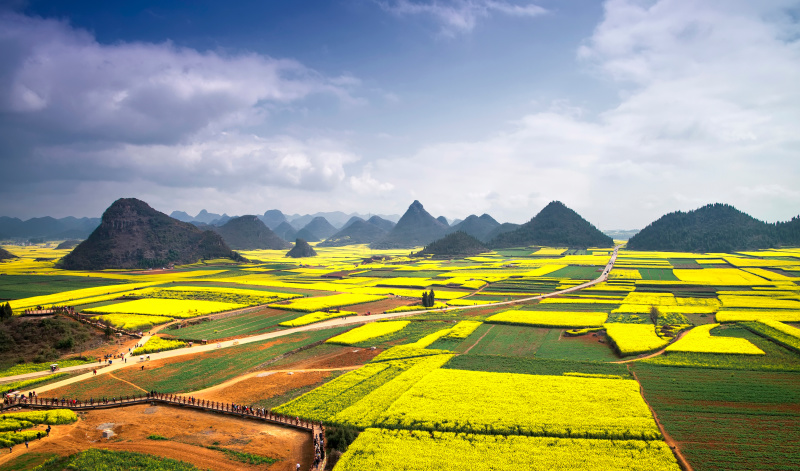 Karst landscape and rape flowers - in China's yunnan province