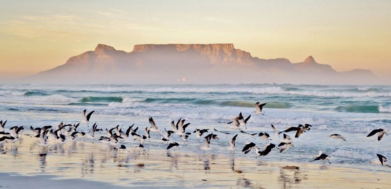 Südafrika: Höhepunkte und versteckte Juwelen am Westkap