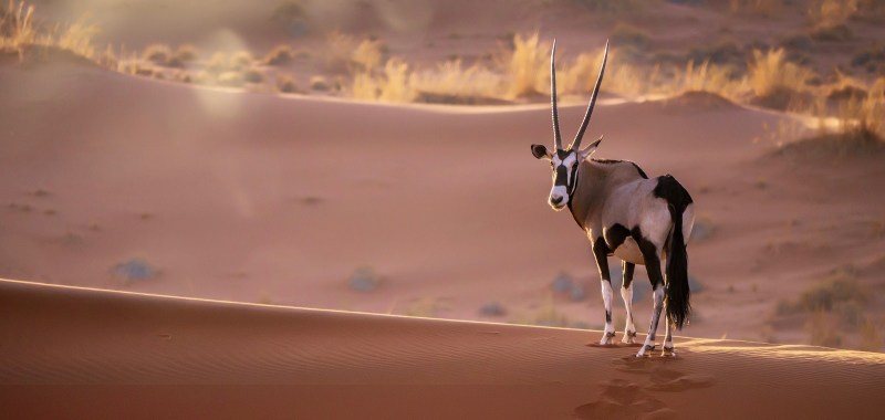 Namibia einmal anders: Flugreise jenseits gewohnter Pfade