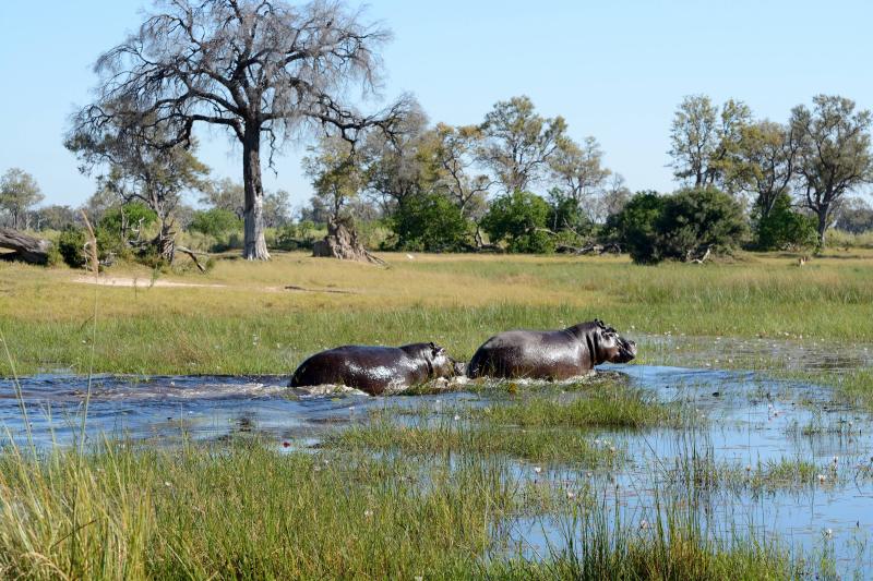 Simbabwe und Botswana: Von den Victoriafällen zum Okavango-Delta