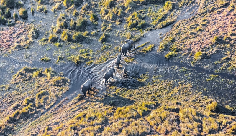 Botswana und Simbabwe: Wasserfälle und wilde Tiere