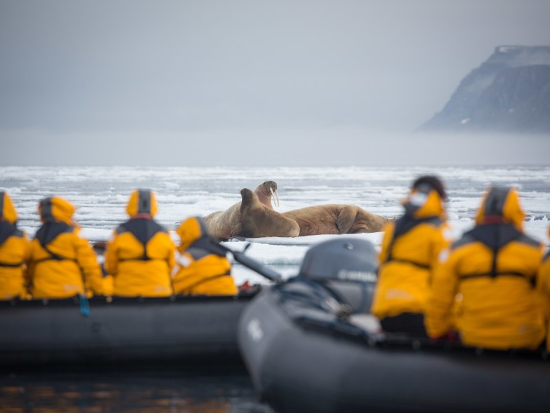 Svalbard Explorer: Best of High Arctic Norway