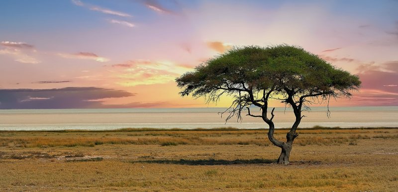 Namibia Roadtrip: Die Höhepunkte des Nordens