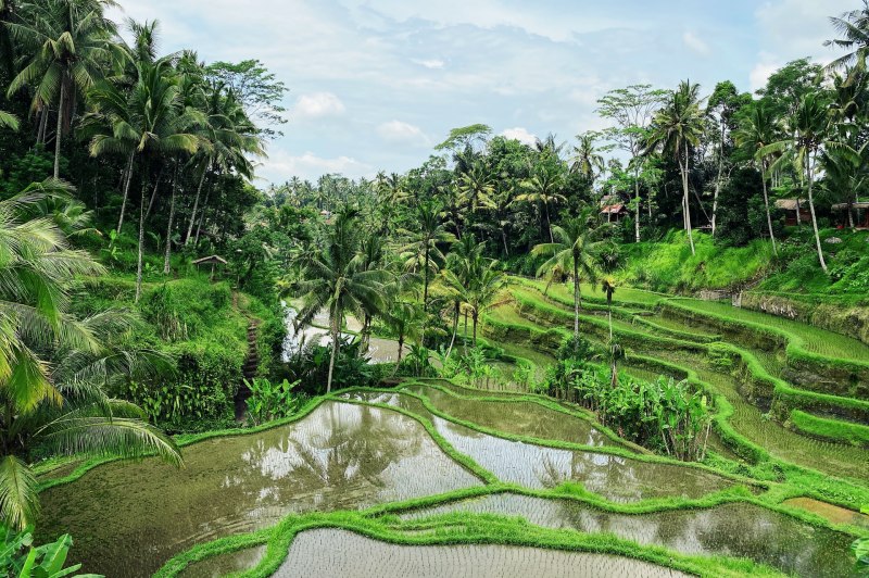 Singapore and Bali: Coasts and Cultures
