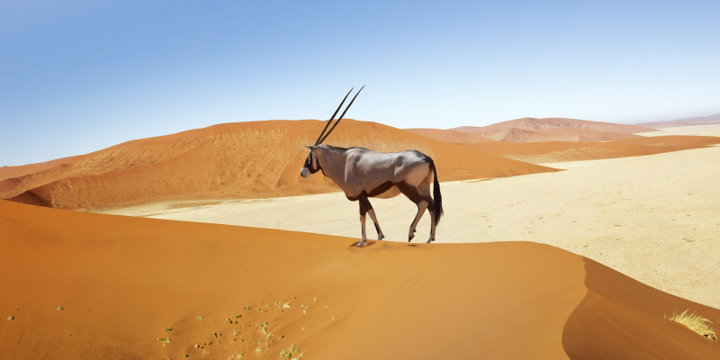 Namibia, ganz klassisch