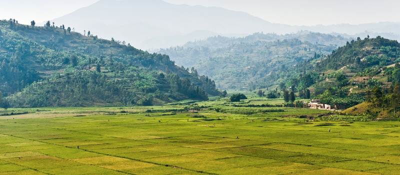 Kigali Hills
