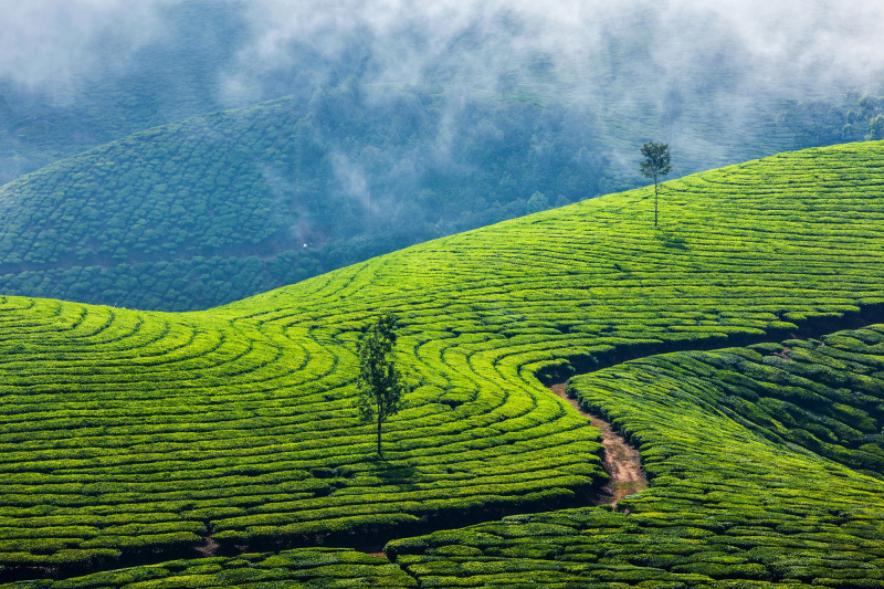 Karnataka Explored: Heritage and Landscapes