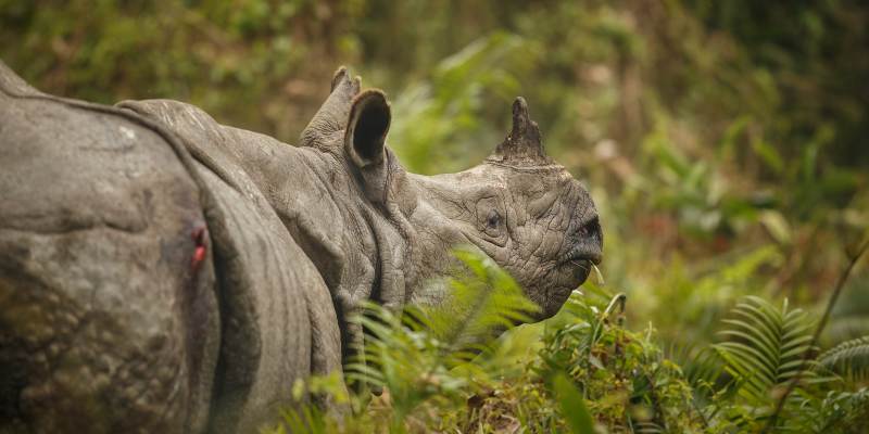 Highlights of North East India