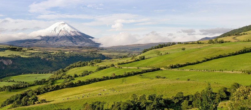 Landschaft in der Cotopaxi Region