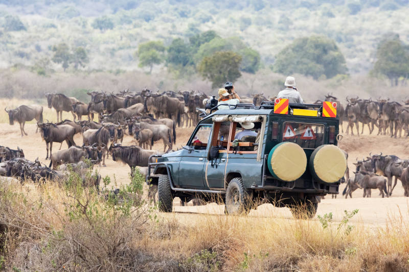 Kenya Tours