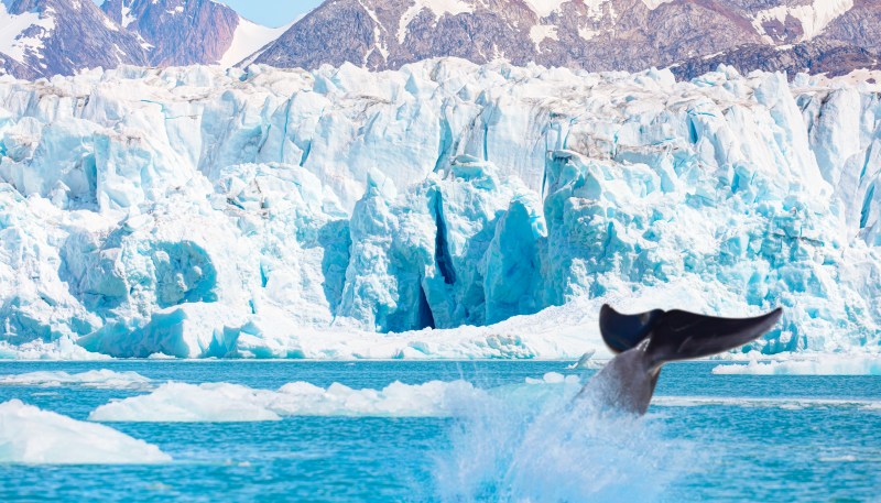 Gems of West Greenland: Fjords, Icebergs and Culture