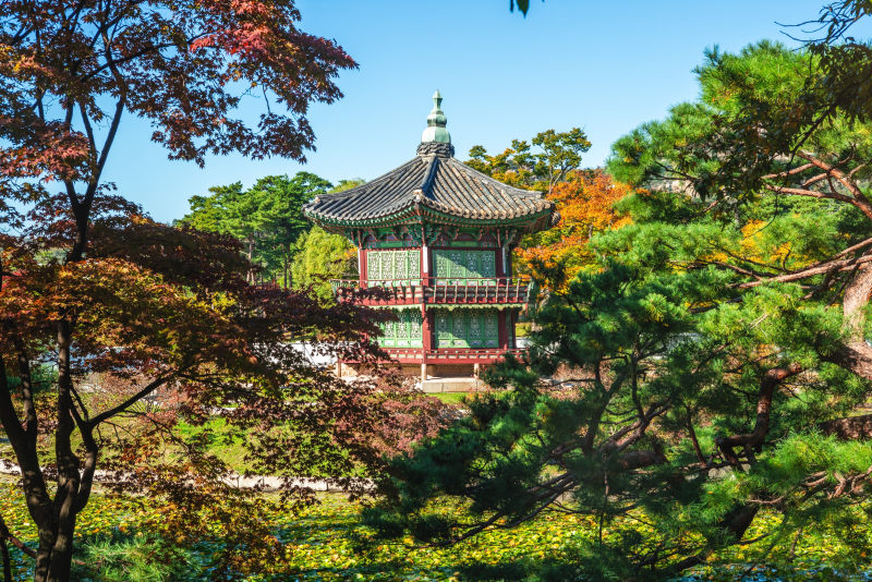 Von Bäumen umrahmter Pavillon in den Gärten des Gyeongbokgung Palastes in Seoul Südkorea