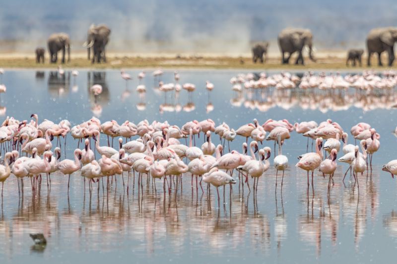 Kenya: Southern Circuit and Beach