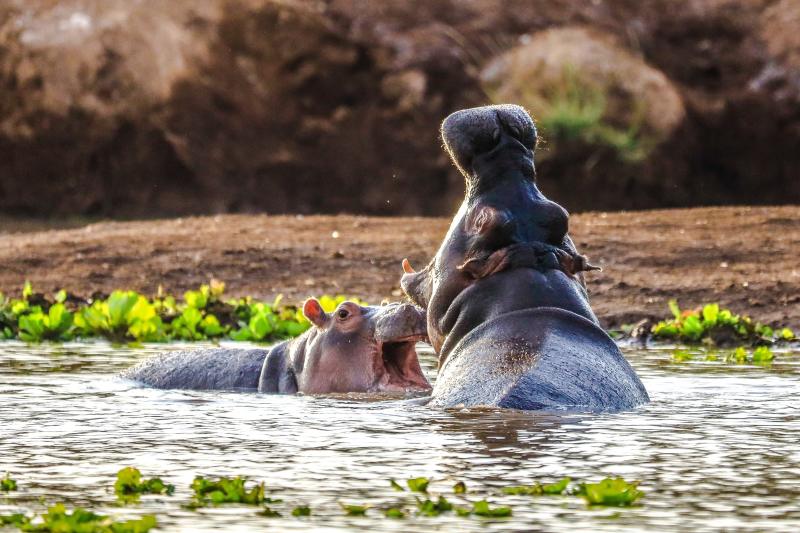 Kenya: Southern Circuit and Beach