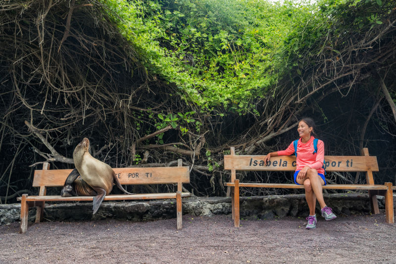 galapagos-animals-tourist-woman-sitting-on-bench