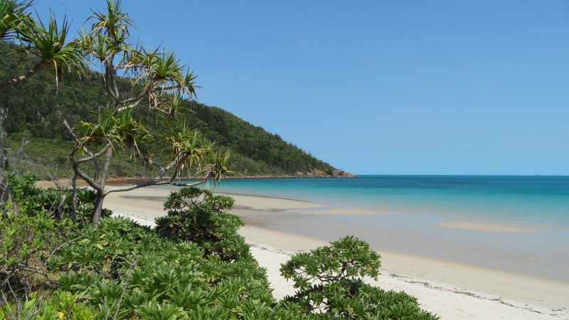 whitsundays
