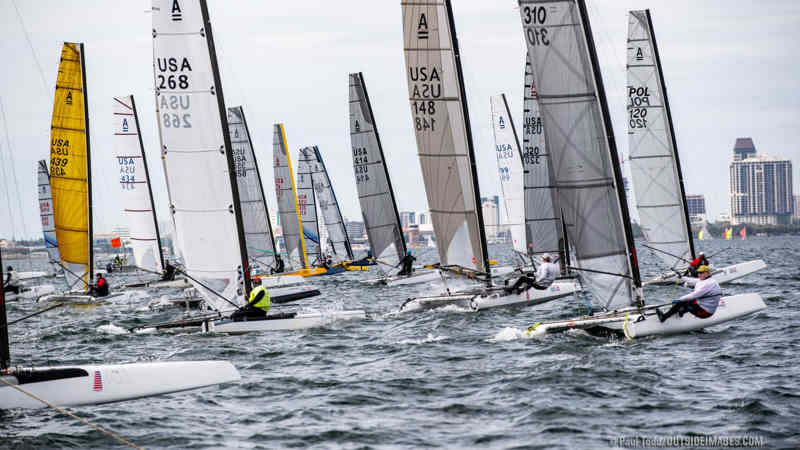 A Cat Upwind