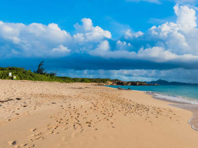 SS_US_St_Martin_BLOG_Header