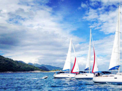 flotilla