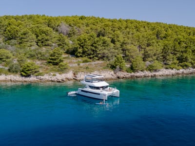 Enjoy a Free Day, Our Gift to You