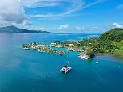Best Snorkeling & Diving in Tahiti