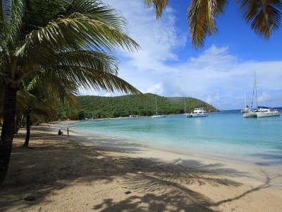 St Lucia beaches