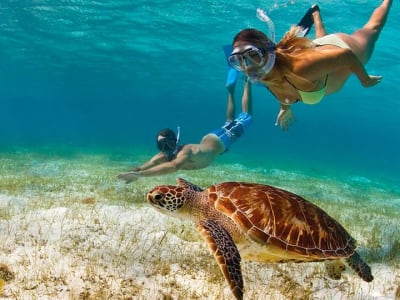 Snorkeling aux Caraïbes