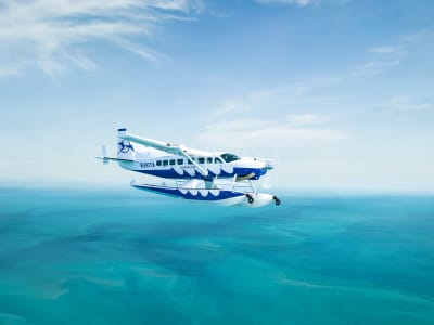 Tropic Ocean Airways aircraft in flight