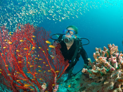 The 5 Best Diving & Snorkeling Spots in Belize
