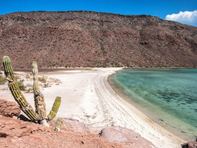 Pronto: La Paz, México