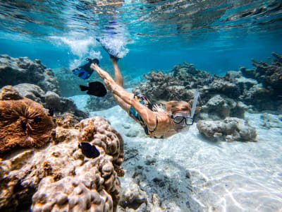 Snorkelling