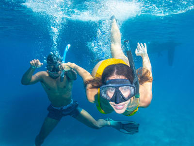 Best Diving in St Maarten