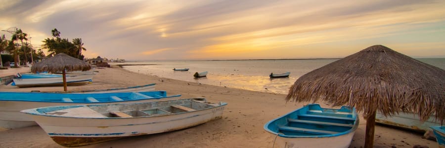 wood dinghys on beach